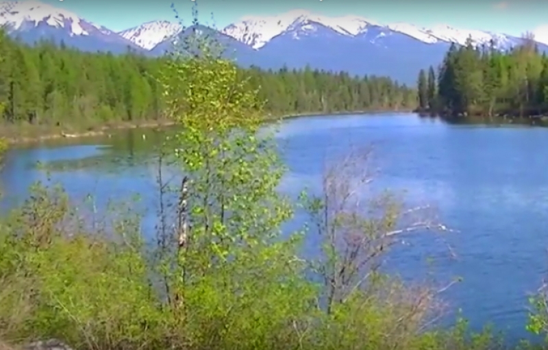 Swan River Cabin